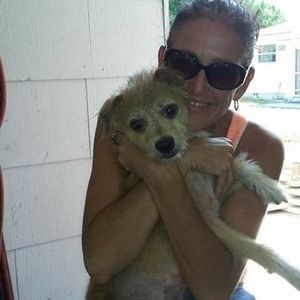 Meet your Posher, Naomi